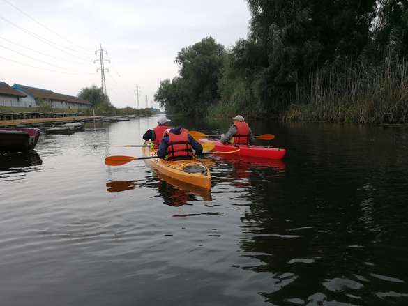 Projektpartner beim Kanufahren auf der Donau