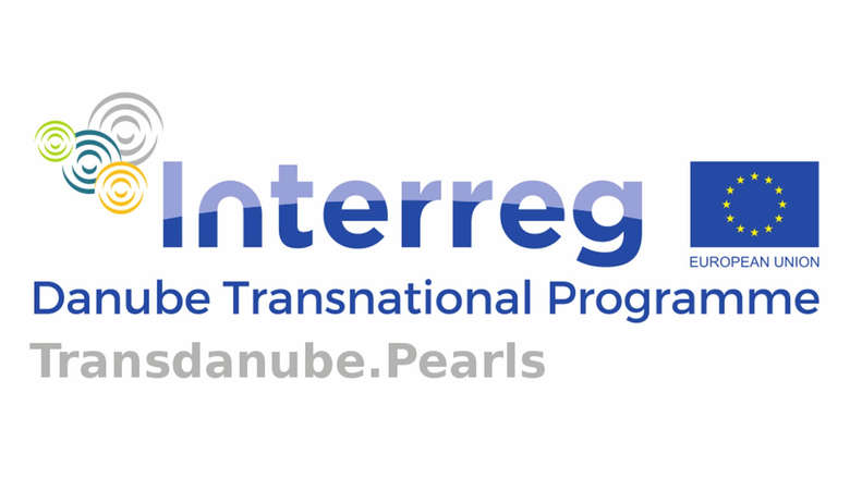 TransDanbue Logo Grafik