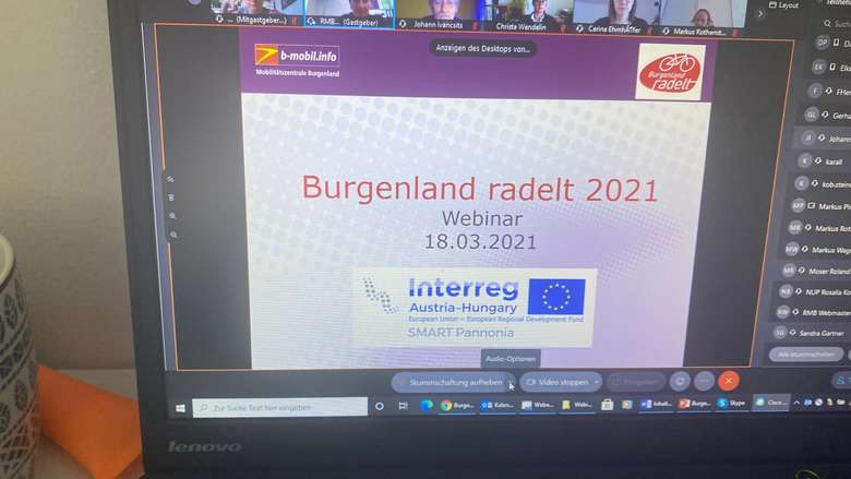 Screenshot Webinar