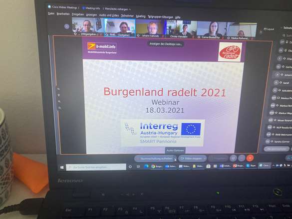 Screenshot Webinar